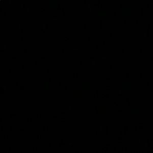 Meet your Posher, Darrius